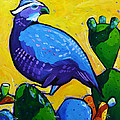 Precarious Perch